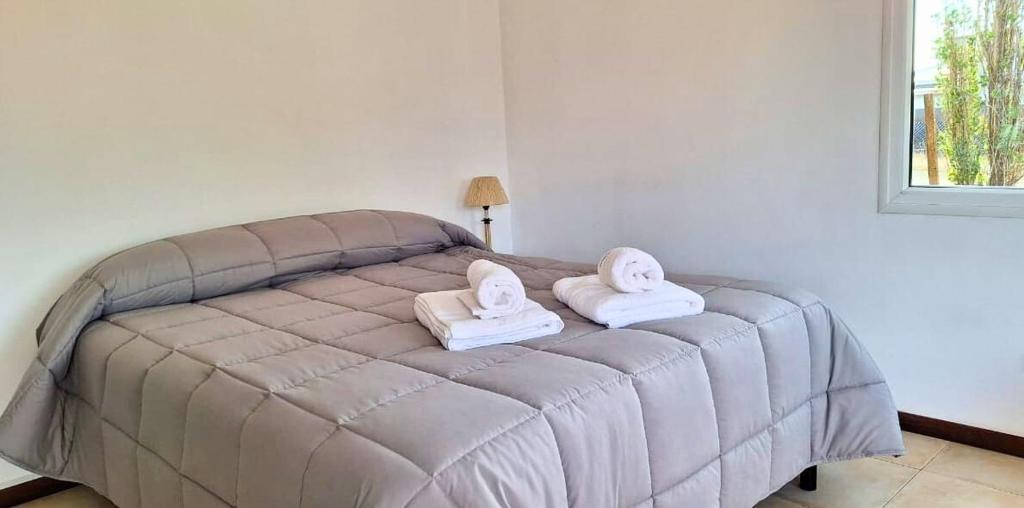 AM Studio Calafate