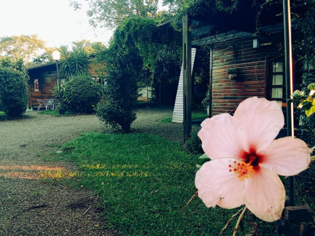 Yvyra Lodge