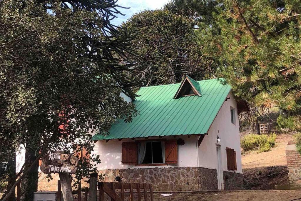 Casa Pehuenia, linda cabaña a pasos del Lago