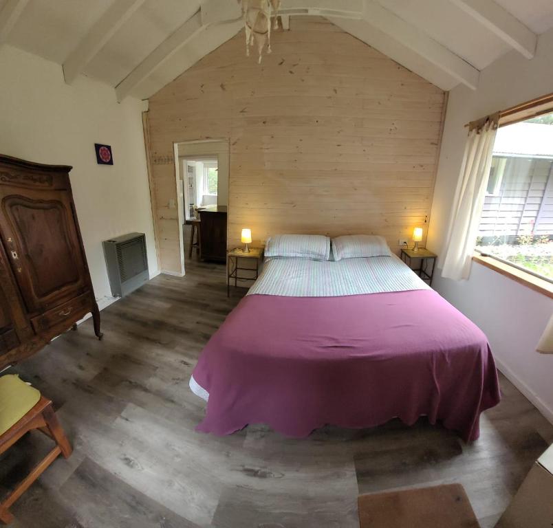 Casas La Violeta