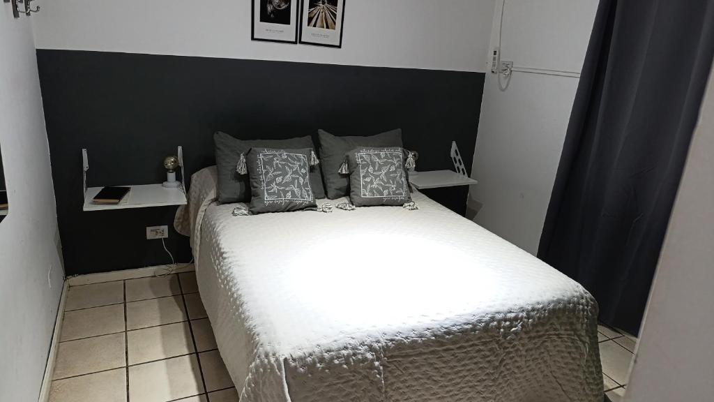 Departamento Alem