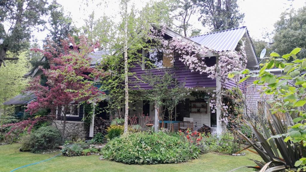 Dodo House