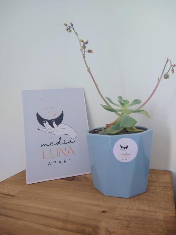 Media Luna Apart -Depto A en Choele Choel