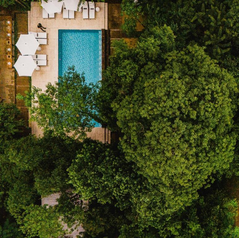 Miraselva Lodge