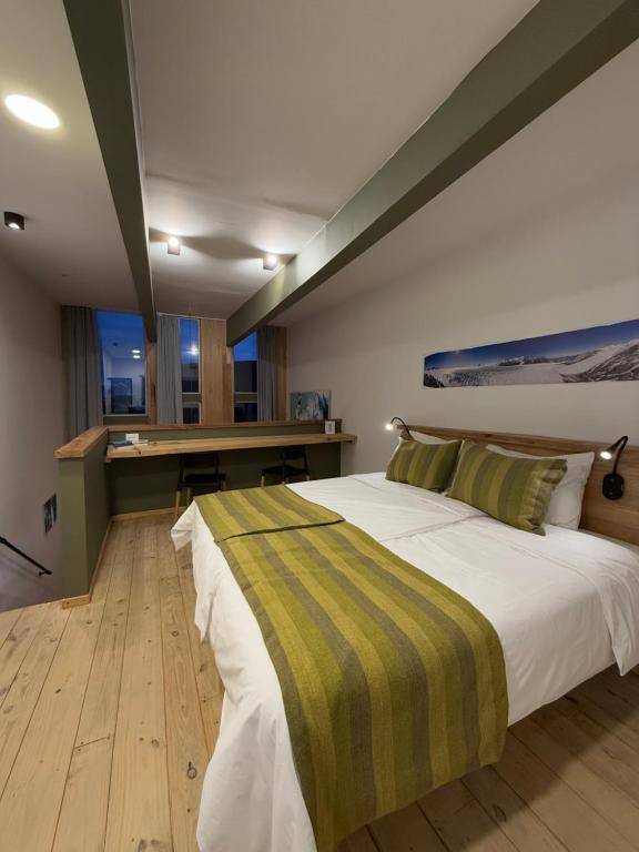 PACHAGONIA Loft